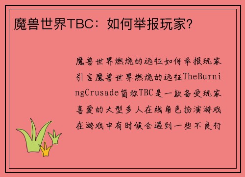 魔兽世界TBC：如何举报玩家？